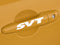 SVT Door Handle Logo Sticker Emblem Ford Focus Mustang F150 Pickup Truck Cobra-0