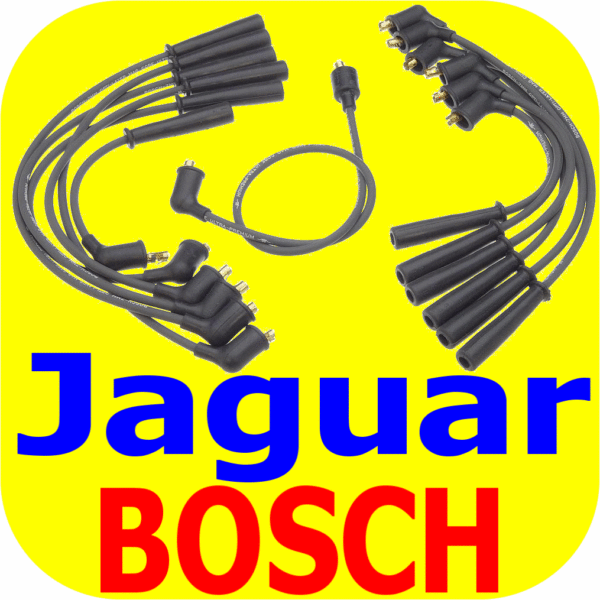 Ignition Wire Set Jaguar XJs XJ12 XKE Series 3 V12 5.3-5172