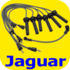 Spark Plug Ignition Wire Set Jaguar XJS XJ6 XJ40 88-94-11093