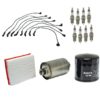 Tune Up Kit Land Rover Discovery 96-99 Filter Wires-0