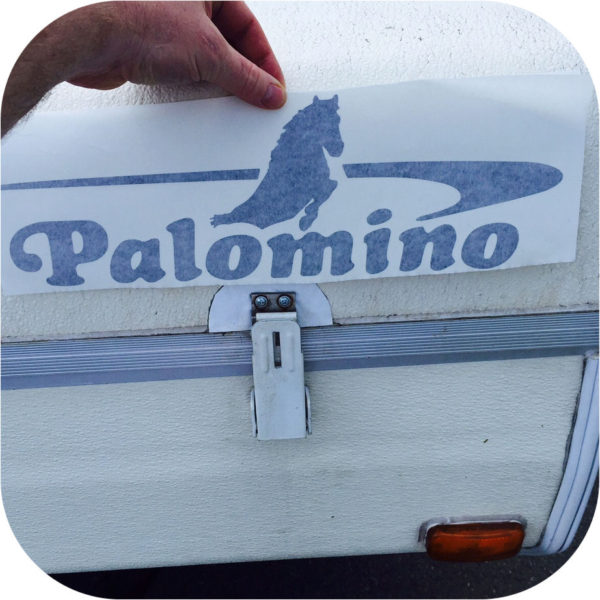 Decal for Palomino Pop Up Camper Trailer Sticker Black Pony Filly Pinto Yearling-21126